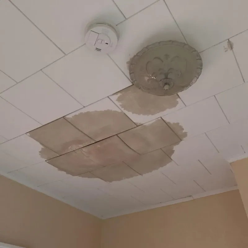 Ceiling Water Damage Repair in DeCordova, TX