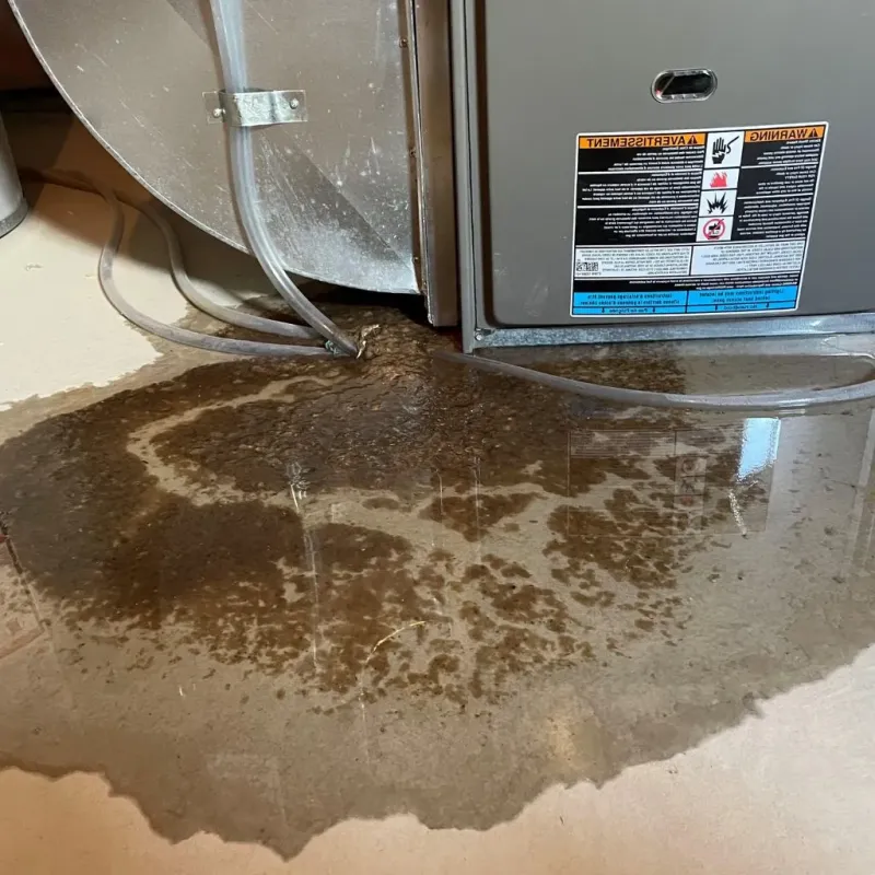 Pipe Burst and Leak Restoration in DeCordova, TX