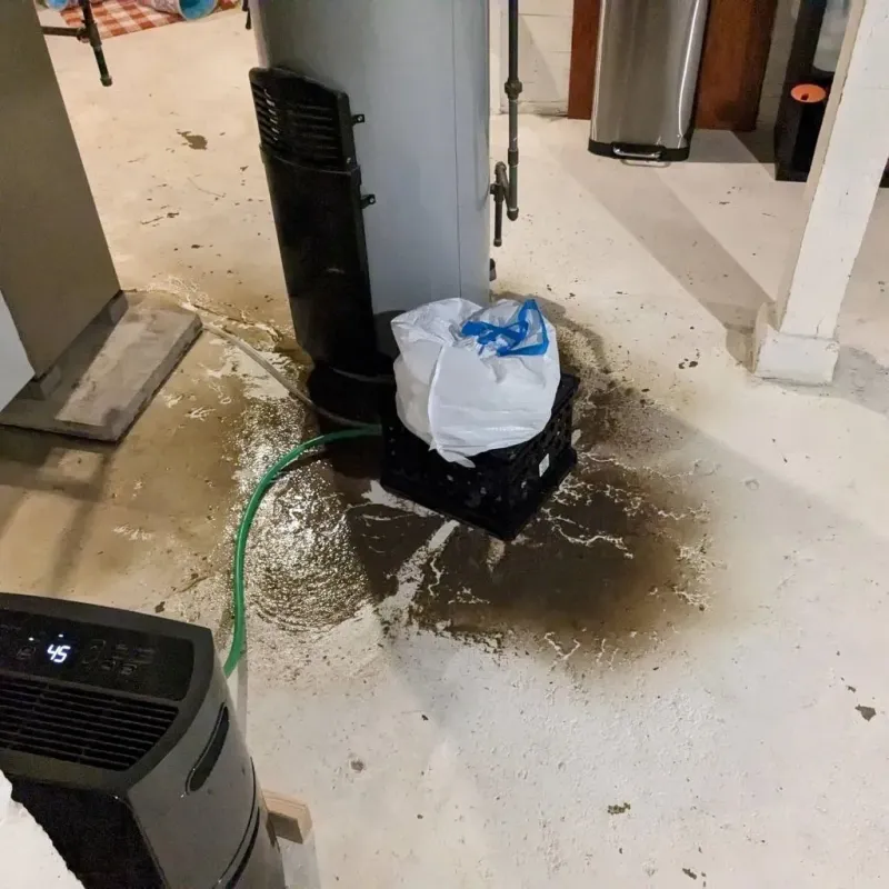 Sewage Backup Cleanup Service in DeCordova, TX